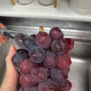 해찬농장 이미지