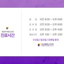 논현서울안과의원 네이버블로그