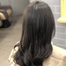 헤어끌레오 이미지