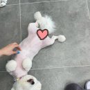 사개절 펫살롱 이미지