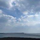 김밥앤국시 이미지