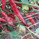 동천농장 이미지