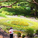 숲속쉼터 이미지