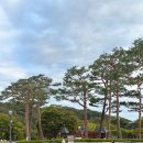 단빌리지 | [강원도]오크밸리리조트 밸리빌리지 31평 일반룸 솔직후기(사우스콘도+빌리지센터)