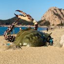 쥐똥섬펜션 이미지