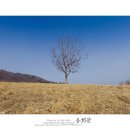 삼수령목장 이미지