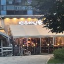 미사 수제생맥주 전문점 맥주하남 반려동물동반가능 내돈내산후기