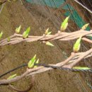 소쿠리농장 이미지