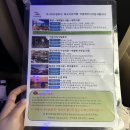 차이남 | 방콕 아유타야 선셋투어, 왓 야이차이 몽골, 왓 마하탓, 왓차이왓타라남 후기!