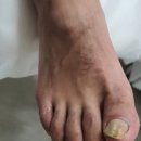 레푸스 태릉입구역점