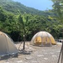 캠핑494 | 🌌 평창 감성 캠핑장 BEST 4: 쏟아지는 별빛 아래 낭만 가득한 밤 ✨