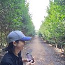 태건농장 이미지