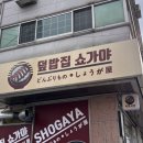 가야 | 갈마동 일식 맛집 덮밥이 맛있는 쇼가야 방문후기(혼밥가능)