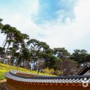 용현계곡입구 주차장 이미지