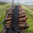 다올농장 이미지