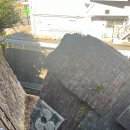 평화(두상) 이미지