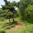 청주성신학교 이미지