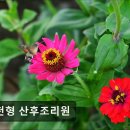 장제로772번길 | 인천 산후조리원 인천형 산후조리원 인천형 산후조리원, 친절한 서비스로 만족도 높아