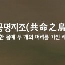 지조 카카오 검색결과