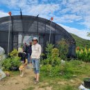 도식농장 이미지