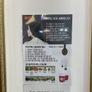다이아나 헤어스토리