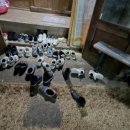 모아상회 이미지