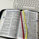 개역한글 성경책 내돈내산 후기🙏🖤