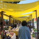 곡성-209 이미지