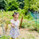 🥕🥔🧅나는야~ 꼬마 농부🧑‍🌾👩‍🌾 이미지