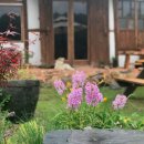 현암리 돌담집 이미지