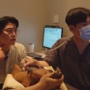 미션모텔