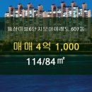 신세계114공인중개사사무소 이미지
