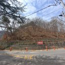 상하리 벚꽃길 | 장태산자연휴양림 ♥ 밤나무집 예약 / 숲체험 스카이웨이 / 출렁다리