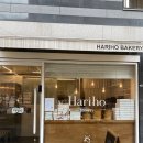 [서울 휘낭시에 / 강남 디저트 맛집] 신논현 하리호베이커리 : 기념일 선물로 강추, 내돈내산