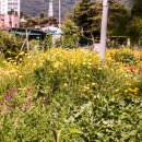 가야2리 이미지