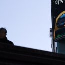 개미정비 이미지