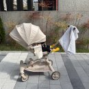 세서울어린이집 | 내돈 내산 - 올보르 앨빈 트라이크 유모차 구매 후기