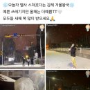 울돌목 주말장터 태동해물 | 1월 아이폰사진