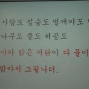중리초교 이미지