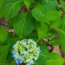 머내과학 공원 이미지