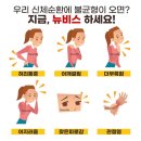 뉴비스 이미지