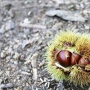 예울림물레방아마을 이미지