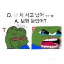 언니네티라미수 이미지
