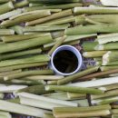 신두리농장 이미지