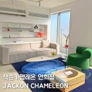 카멜레온 | 페블소파 보러 연희동 잭슨카멜레온 매장 방문 후기