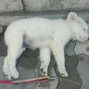 옥구지구대 이미지