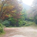 만성목장 이미지