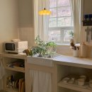 스테이 심심 이미지