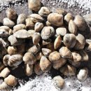 답십리3 이미지