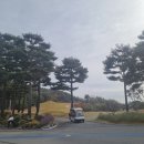 (주)화성그린 | 251117 화성상록CC 라운드 후기와 맛집 추천